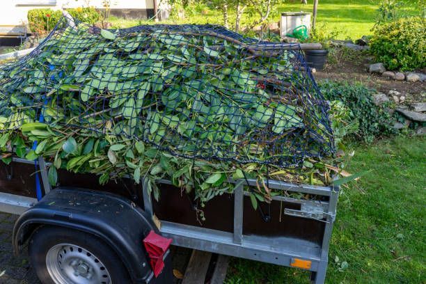 Best Moving and Downsizing Cleanouts  in Milford, IN